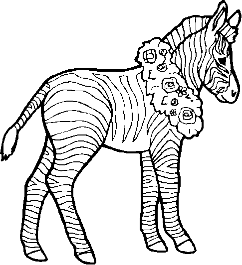 zebra coloring pages without stripes - photo #24